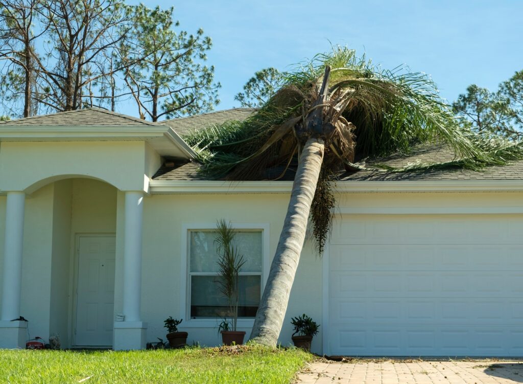 A Florida residential home with a fallen tree and roof damage