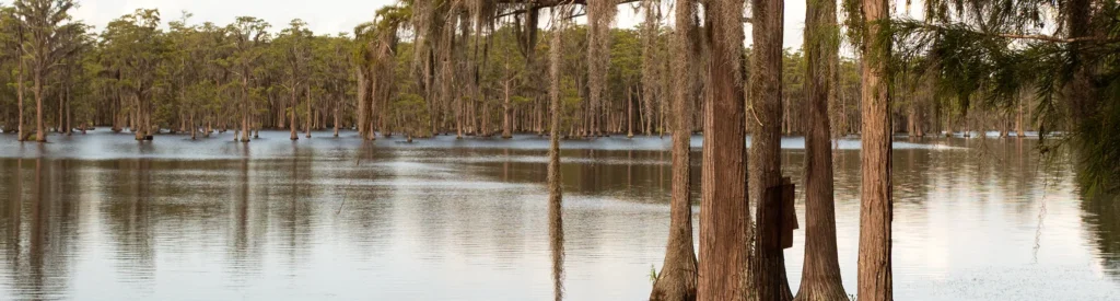 Bonifay Florida Roofers