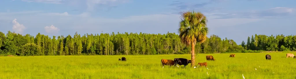 Chipley Florida Roofers