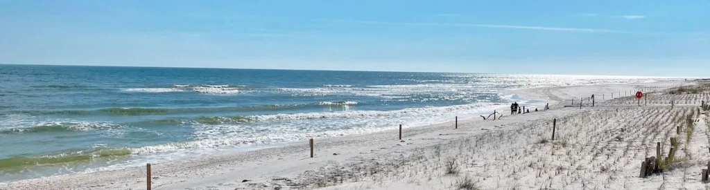 Port St Joe Florida Roofers