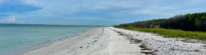 Marco Island Florida Roofers